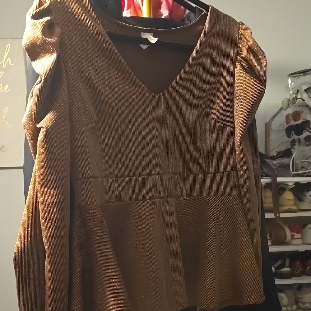Elegant Brown Long Sleeve Top